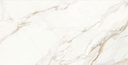 Carrara Gold 24x48 TC6012A0140