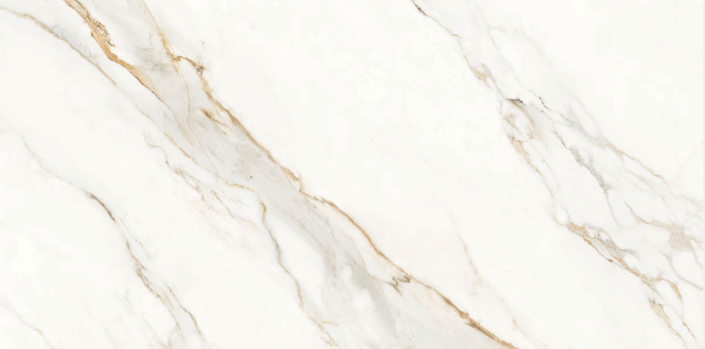 Carrara Gold 24x48 TC6012A0140