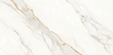 Carrara Gold 24x48 TC6012A0140