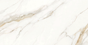 Carrara Gold 24x48 TC6012A0140