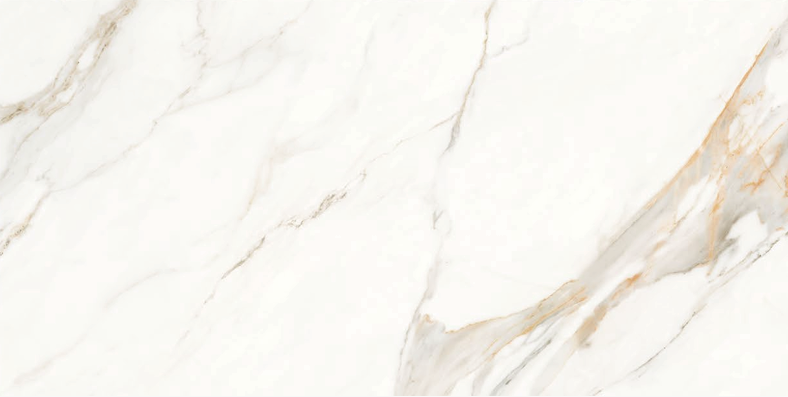 Carrara Gold 24x48 TC6012A0140