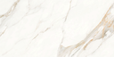 Carrara Gold 24x48 TC6012A0140