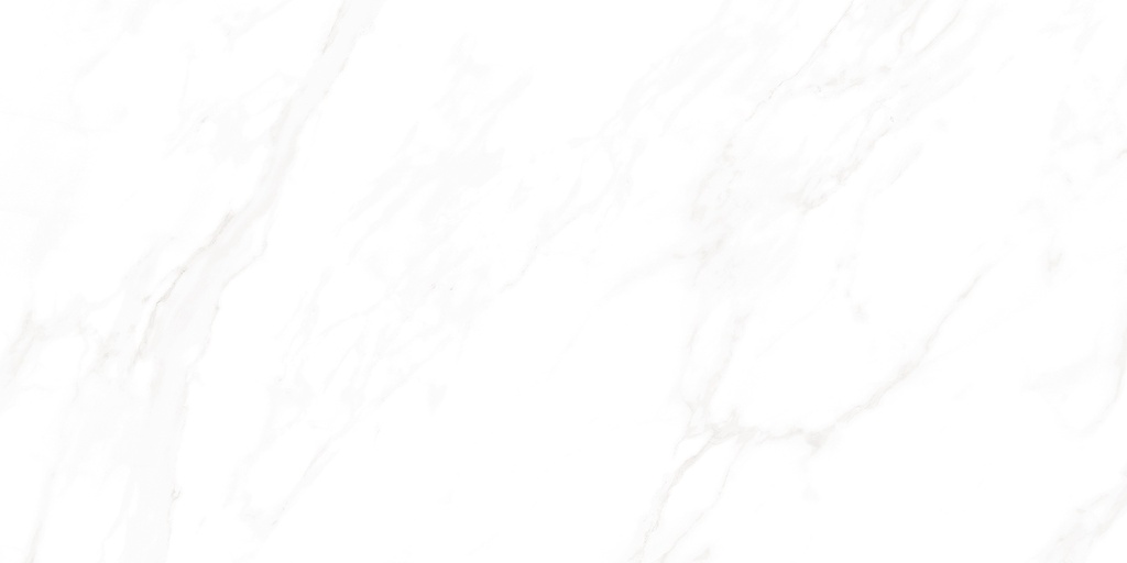 Medici Polished 24x48