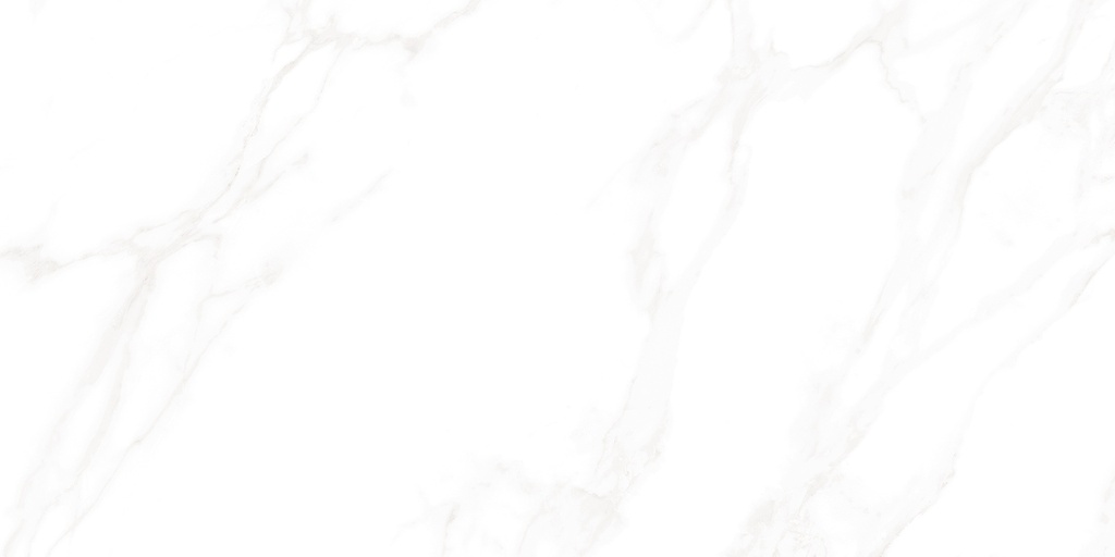 Medici Polished 24x48