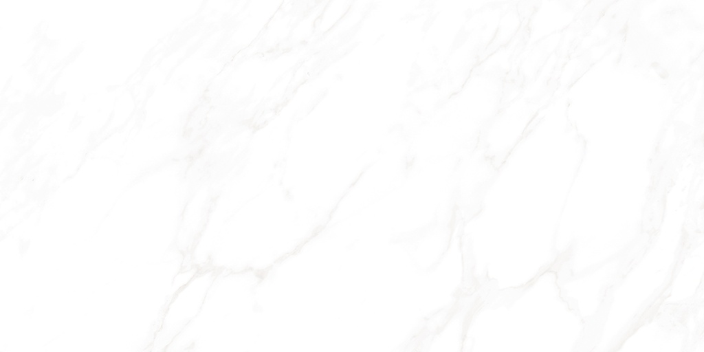 Medici Polished 24x48