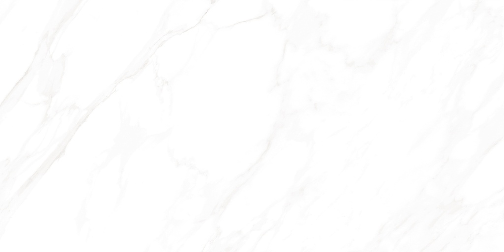 Medici Polished 24x48