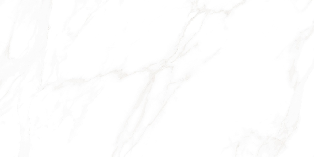 Medici Polished 24x48