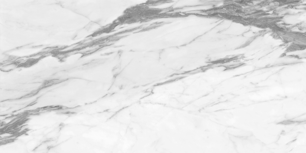 Altissimo White Brillo 24X48