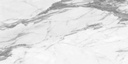 Altissimo White Brillo 24X48