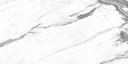 Altissimo White Brillo 24X48