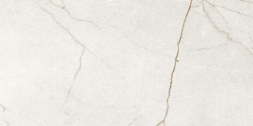 Rafaello Ivory Silk 24x48_2.webp