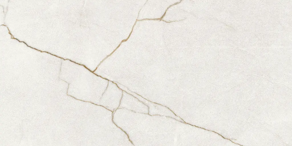 Rafaello Ivory Silk 24x48_4.webp