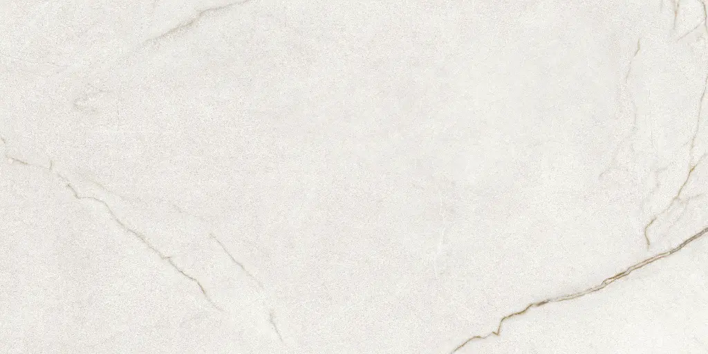 Rafaello Ivory Silk 24x48_11.webp