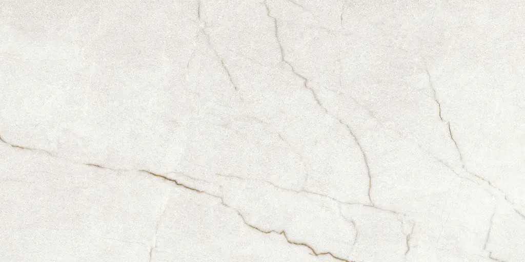 Rafaello Ivory Silk 24x48_1.webp