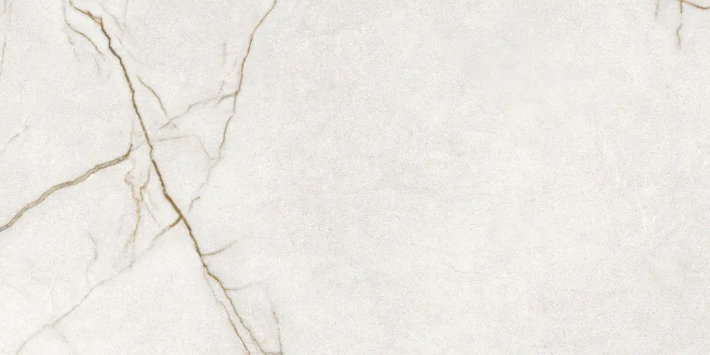 Rafaello Ivory Silk 24x48_12.webp