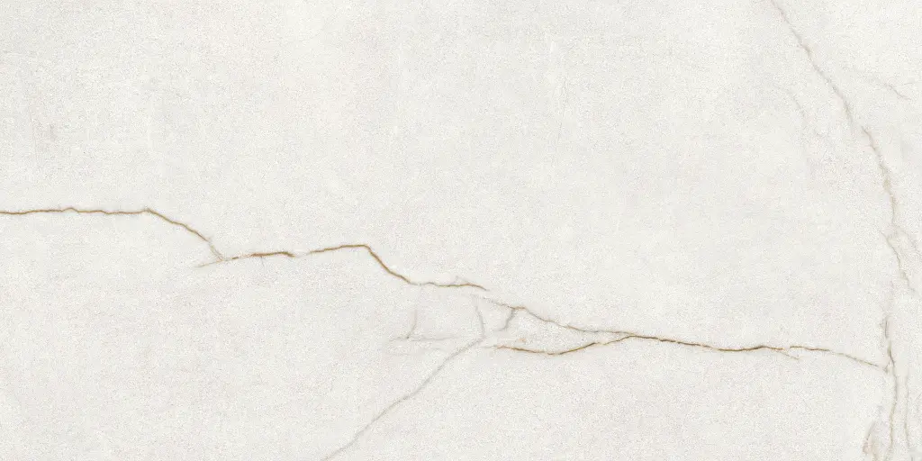 Rafaello Ivory Silk 24x48_9.webp