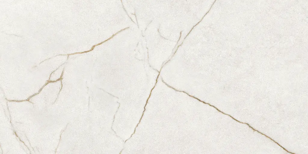 Rafaello Ivory Silk 24x48_10.webp