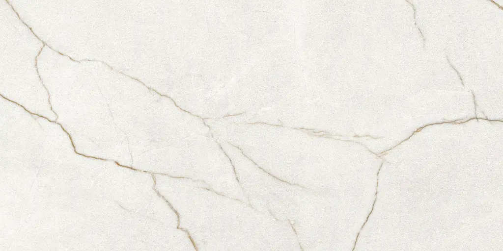 Rafaello Ivory Silk 24x48_8.webp