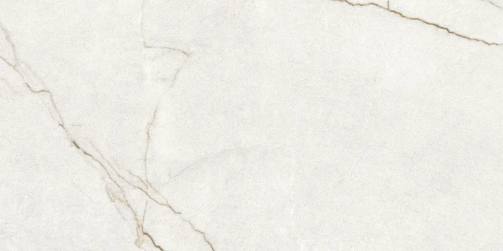 Rafaello Ivory Silk 24x48_3.webp
