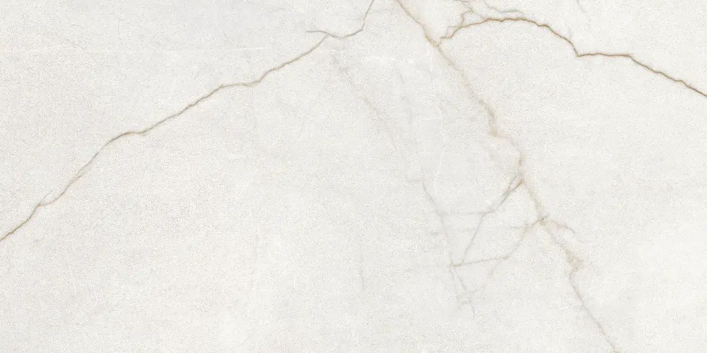 Rafaello Ivory Silk 24x48_7.webp