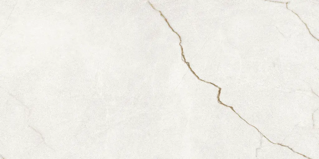 Rafaello Ivory Silk 24x48_6.webp