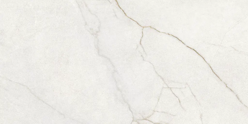 Rafaello Ivory Silk 24x48_5.webp