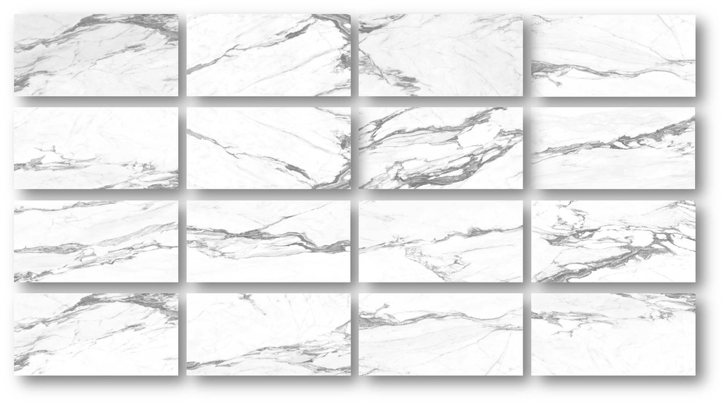 Altissimo White Brillo 24X48