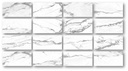 Altissimo White Brillo 24X48