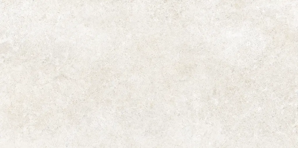 Bella Stone Bone 59,5x119,2 7.webp