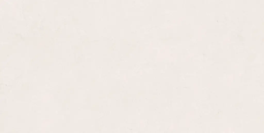 LUCCA BLANCO 60X120 (3).webp