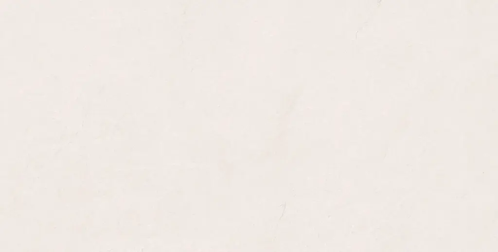 LUCCA BLANCO 60X120 (2).webp