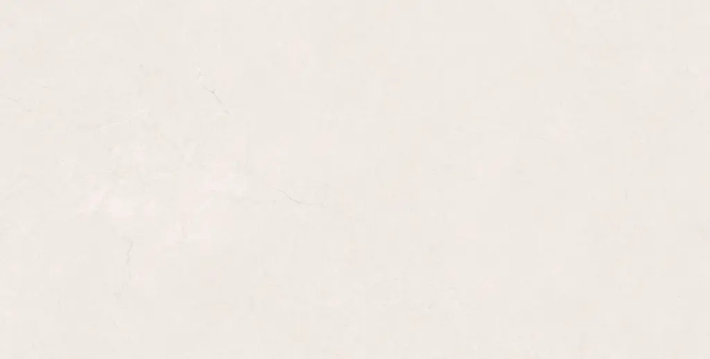 LUCCA BLANCO 60X120 (5).webp