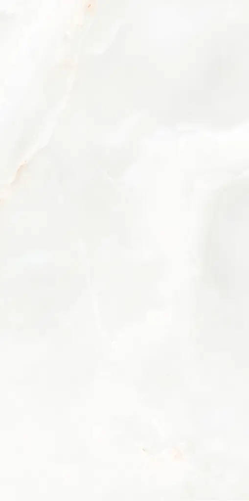 Armonia 24x48_3.webp