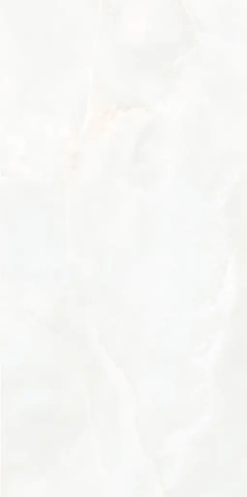 Armonia 24x48_5.webp