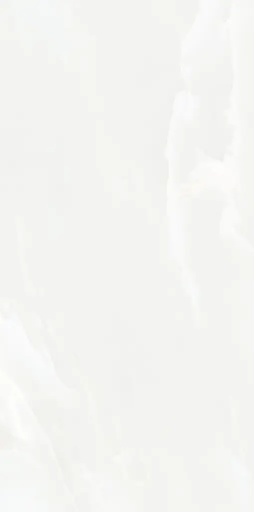 Armonia 24x48_6.webp