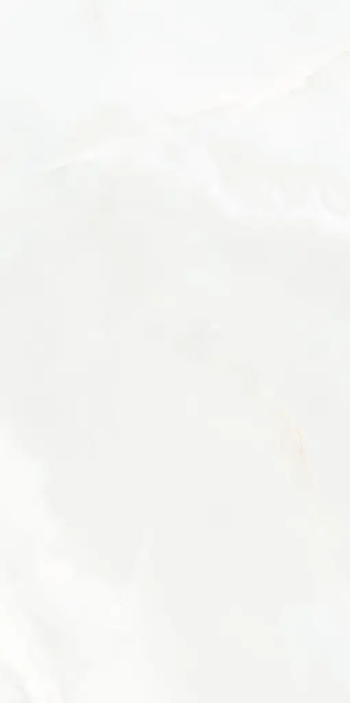 Armonia 24x48_1.webp