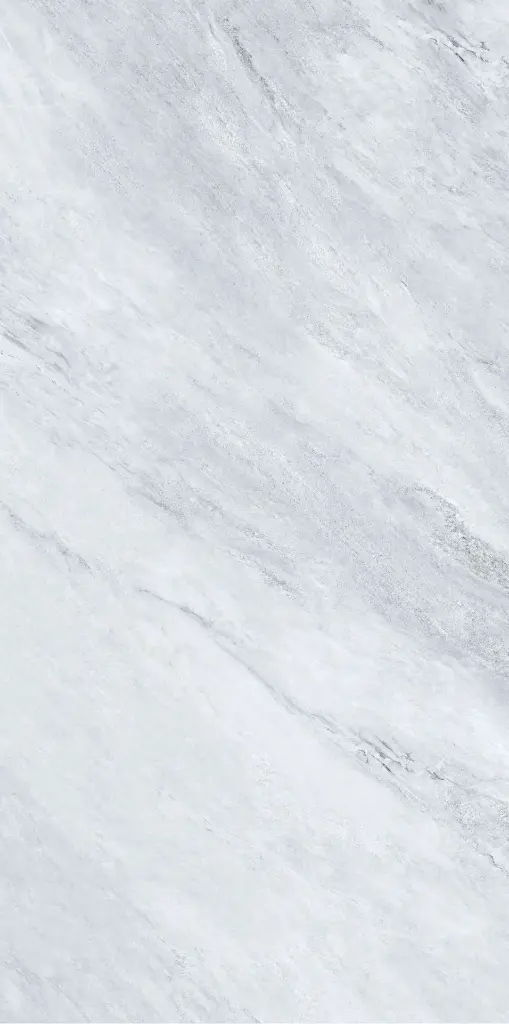 Galaxia Gray 24x48_1.webp