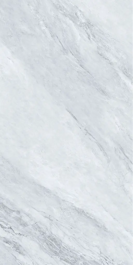 Galaxia Gray 24x48_4.webp