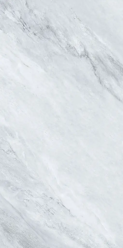 Galaxia Gray 24x48_6.webp