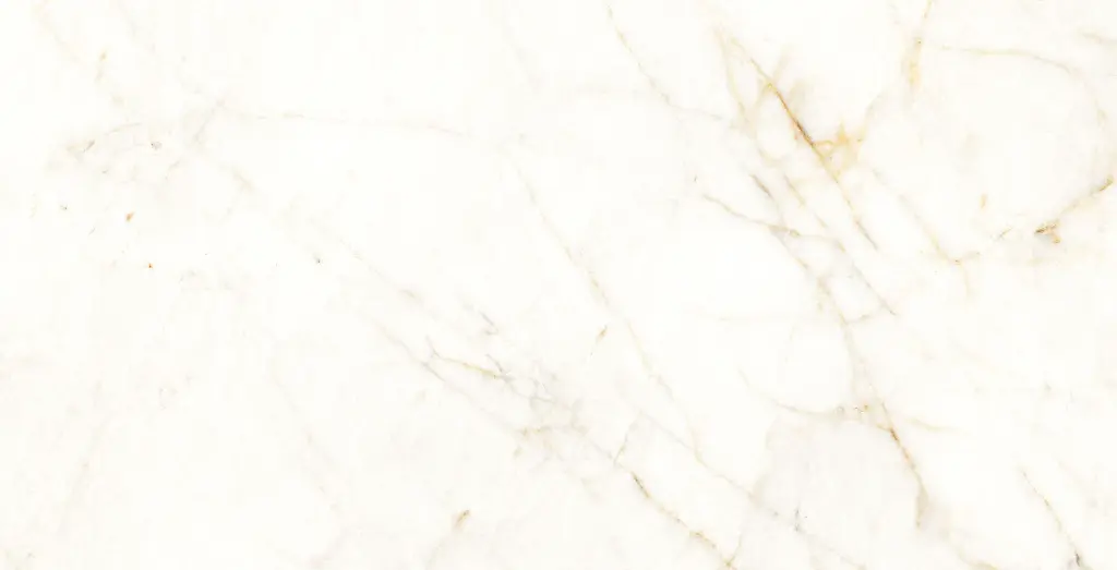 13PM120 Trevi Natural L8V1 copia.webp