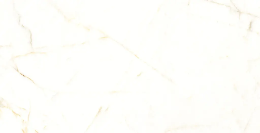 13PM120 Trevi Natural L5V1 copia.webp