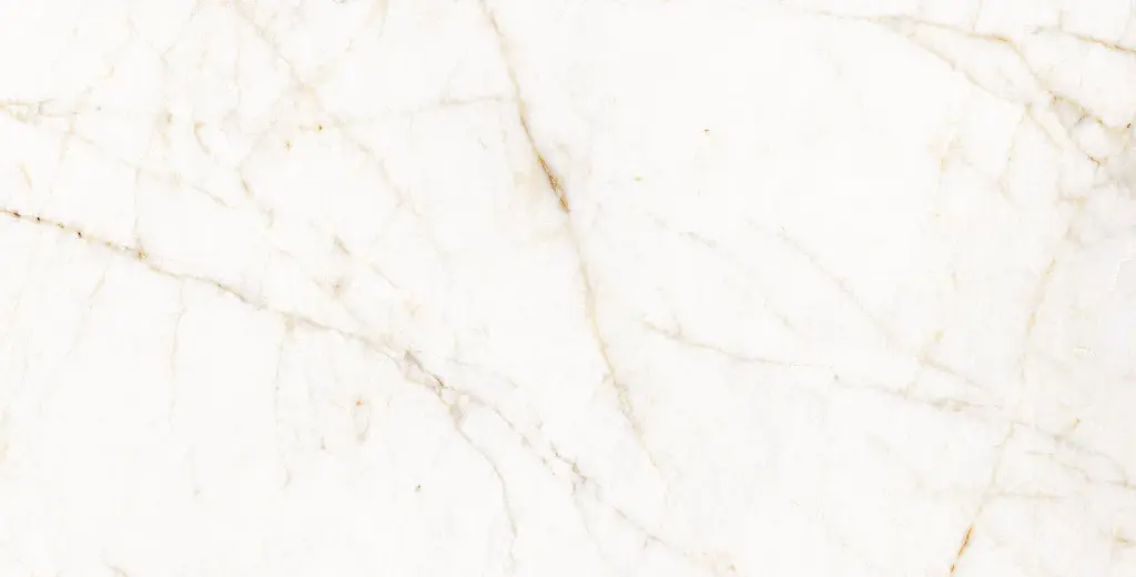 11PM120P TREVI PULIDO L7V3 copia.webp