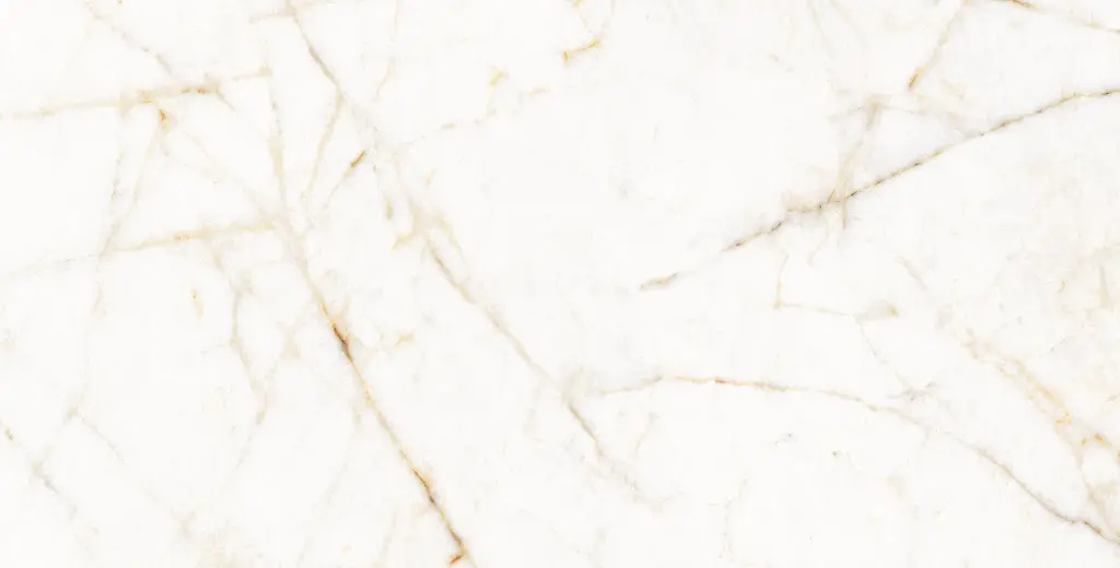 11PM120P TREVI PULIDO L12V3 copia.webp