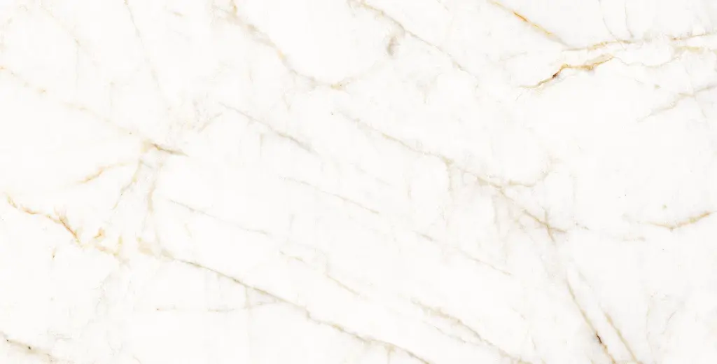 11PM120P TREVI PULIDO L16V3 copia.webp