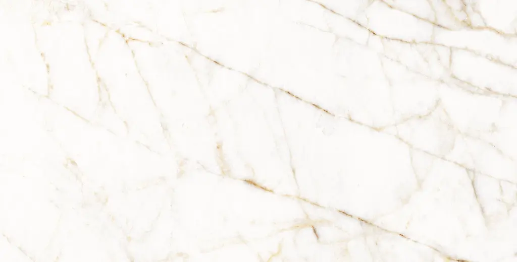 11PM120P TREVI PULIDO L11V3 copia.webp