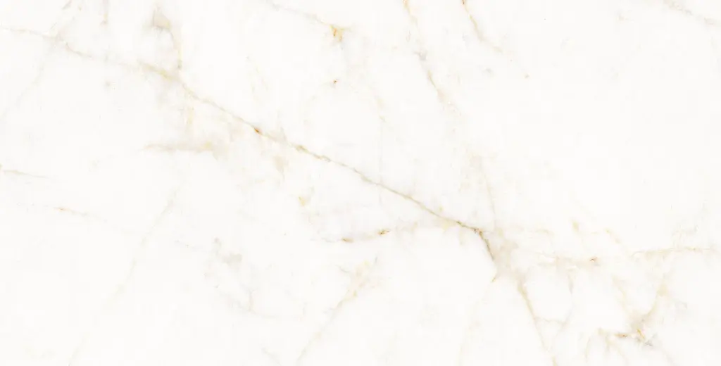 11PM120P TREVI PULIDO L1V3 copia.webp