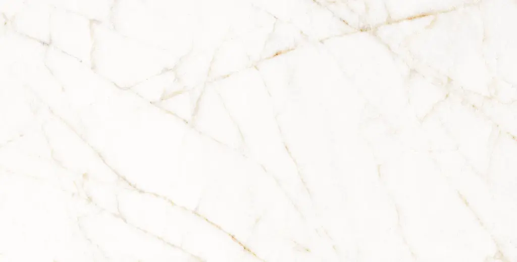 11PM120P TREVI PULIDO L4V3 copia.webp