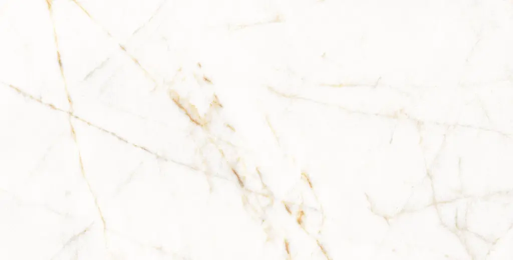 11PM120P TREVI PULIDO L6V3_TONO copia.webp