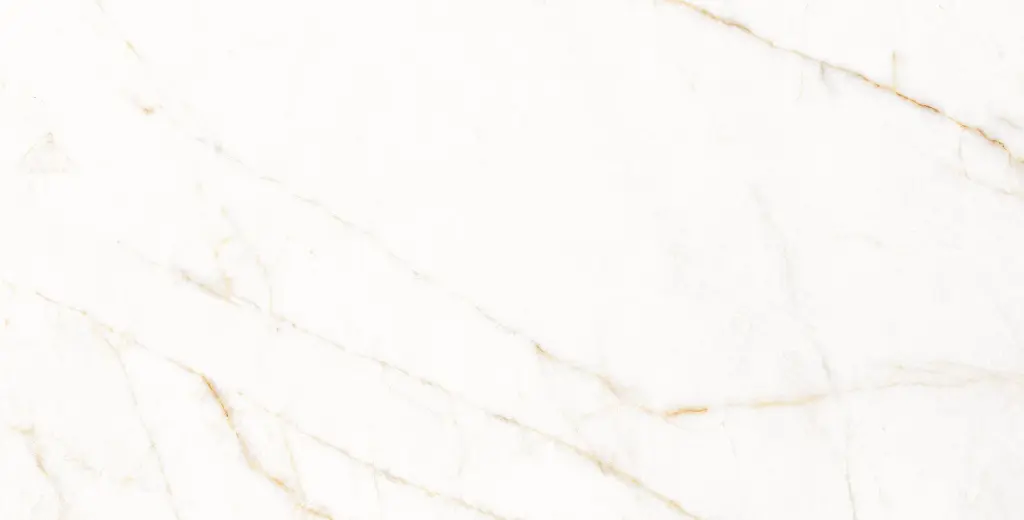 11PM120P TREVI PULIDO L15V3 copia.webp