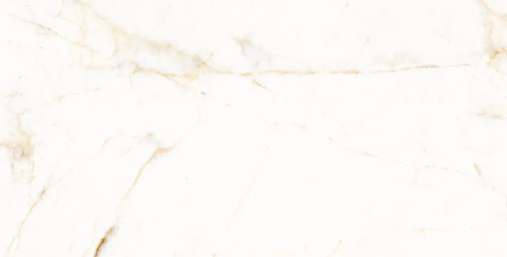 11PM120P TREVI PULIDO L14V3 copia.webp